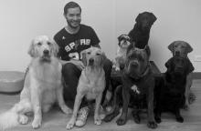 Martin Bergamaschi Sirius Dog Training